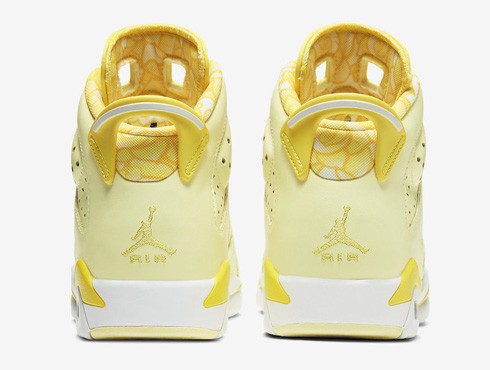 Air Jordan 6 Retro “Floral”